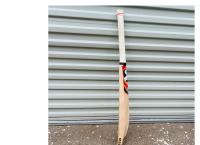 SG Cricket Bat Technique/Eye Kashmir Willow - SH