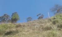 Land for sale near Haggala , Nuwara Eliya