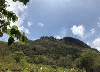 Land for Sale in Lenadora - Dambulla