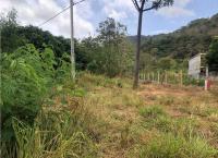 Land for Sale in Lenadora - Dambulla